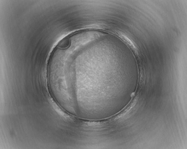 X0000115560800200911201821