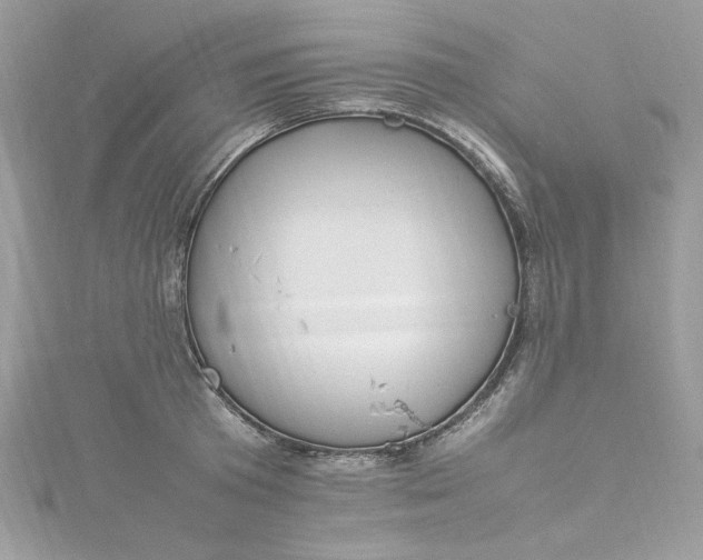 X0000115560801200911201821