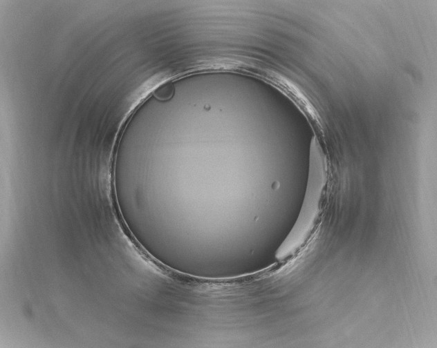 X0000115560802200911201821