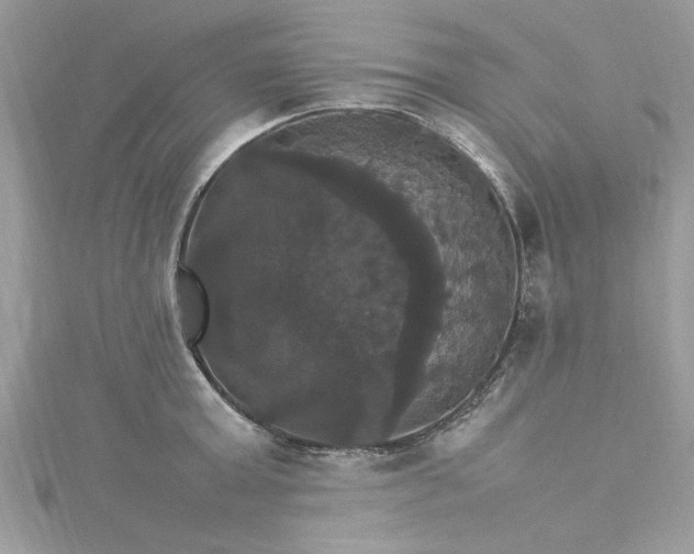 X0000115560803200911201821