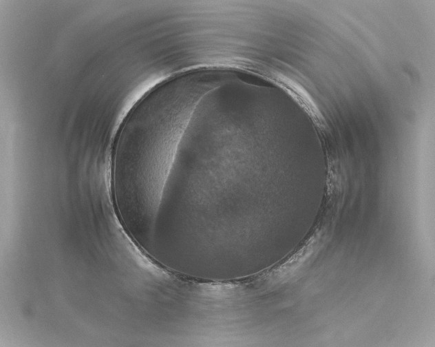 X0000115560804200911201821