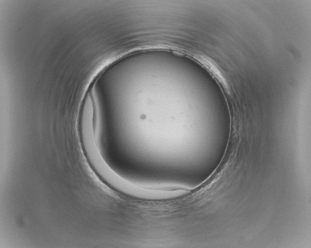 X0000115560805200911201821