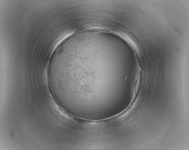 X0000115560806200911201821