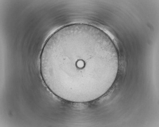 X0000115560807200911201821