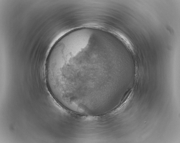 X0000115560808200911201821