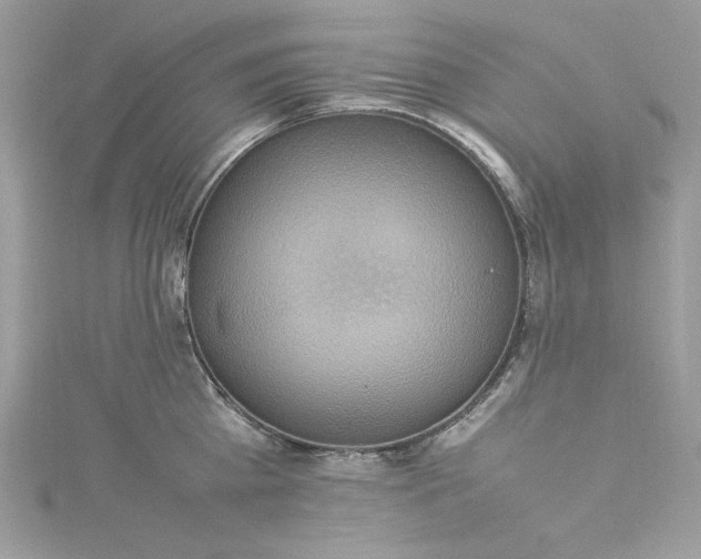 X0000115560809200911201821