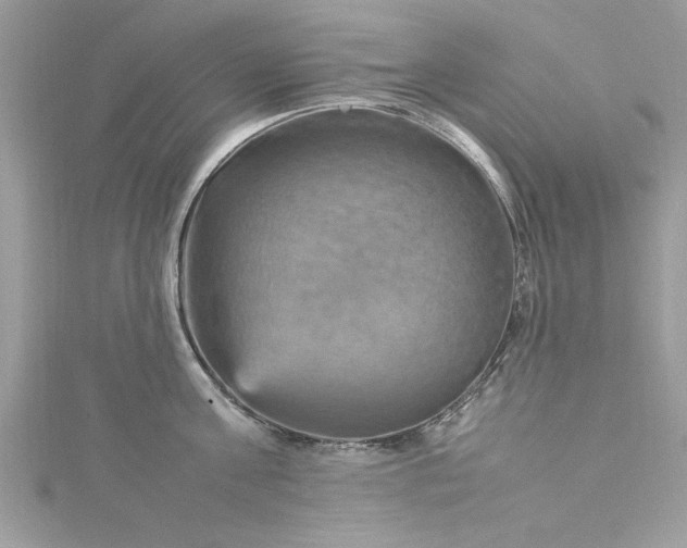 X0000115560811200911201821