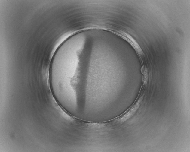 X0000115560812200911201821