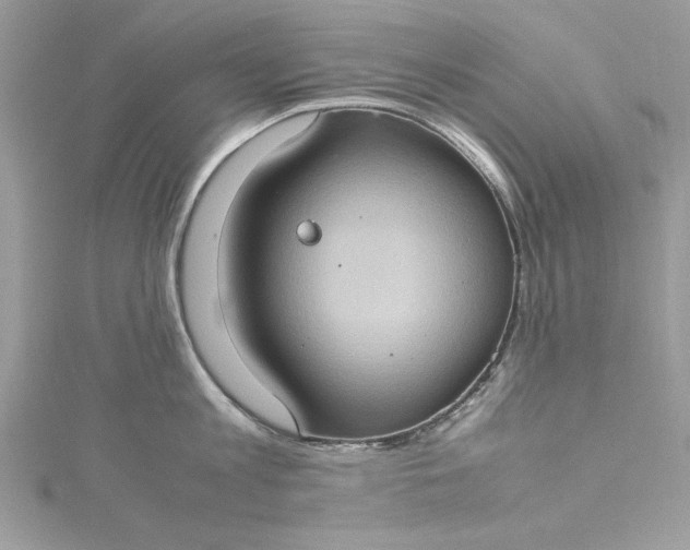 X0000115560813200911201821