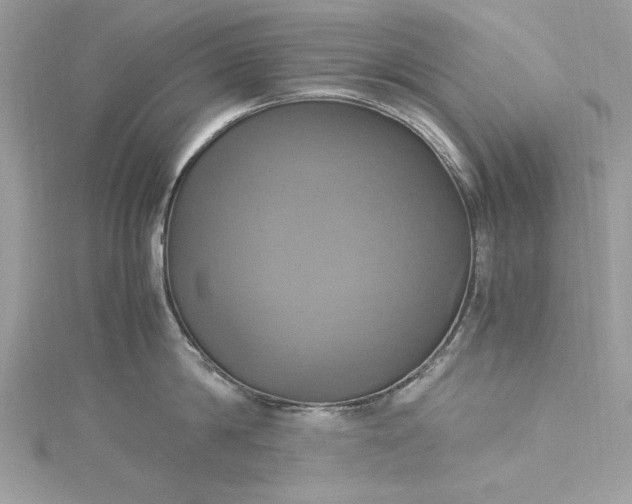 X0000115560814200911201821