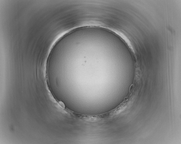 X0000115560815200911201821