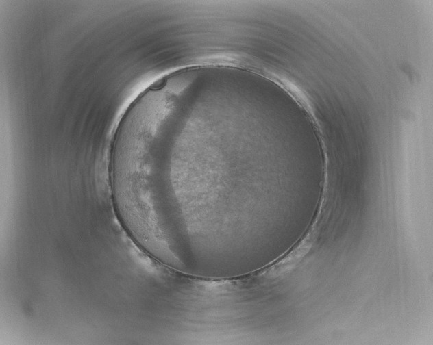 X0000115560816200911201821