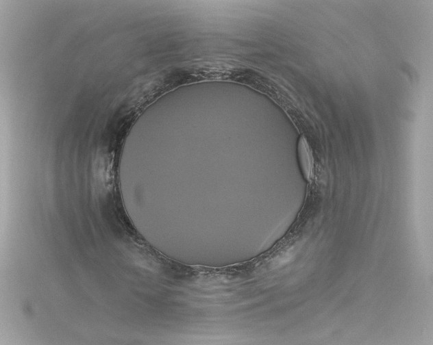 X0000115560818200911201820