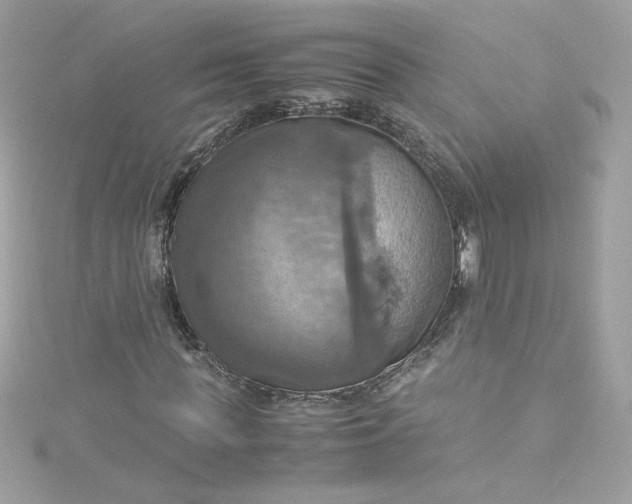 X0000115560819200911201820