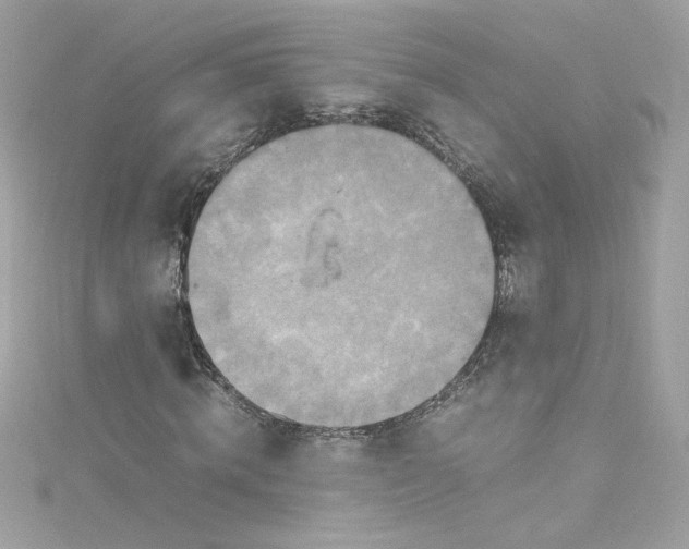 X0000115560820200911201820