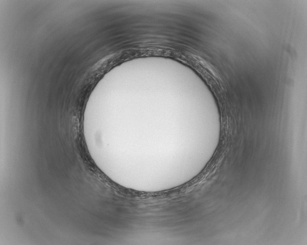 X0000115560821200911201820