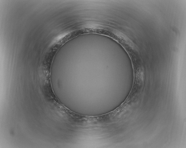 X0000115560822200911201821