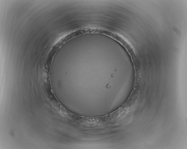 X0000115560823200911201821