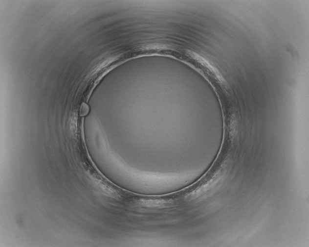 X0000115560825200911201821