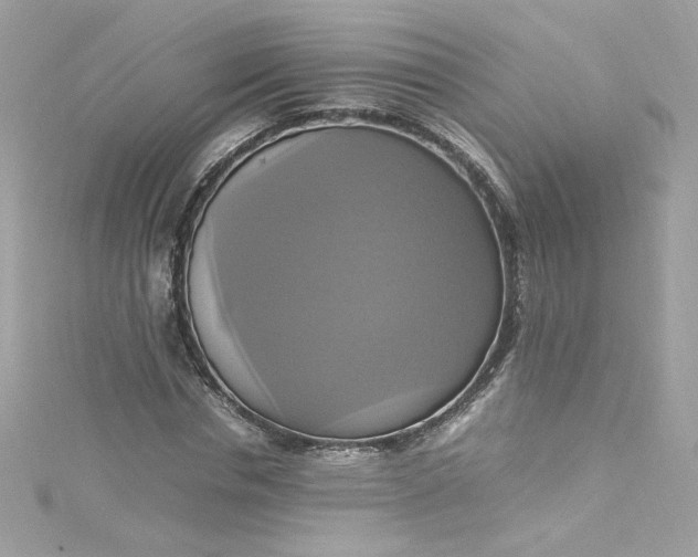 X0000115560826200911201821