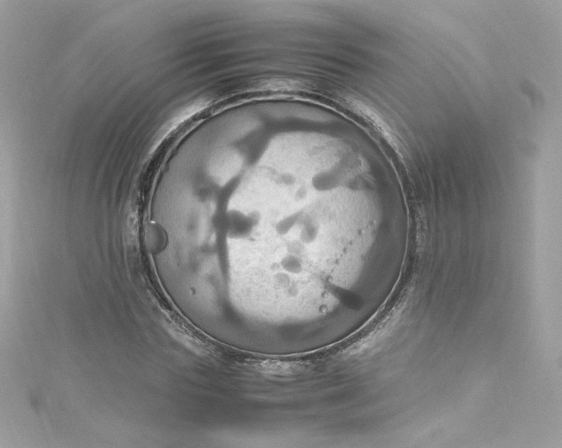 X0000115560827200911201821