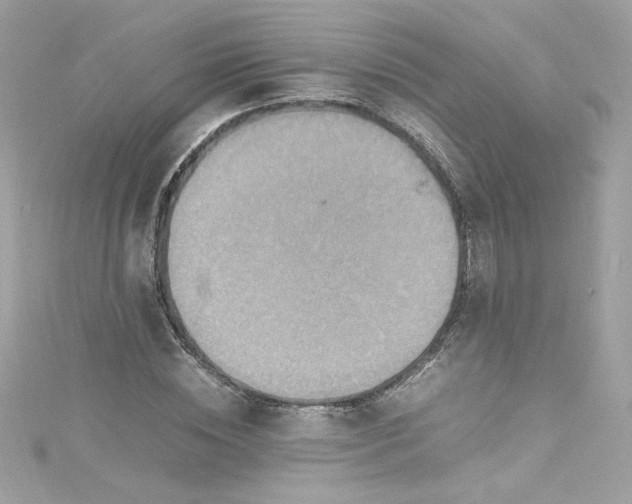 X0000115560828200911201821