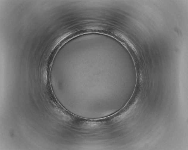 X0000115560829200911201821