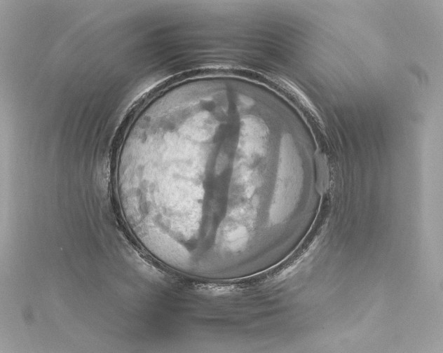 X0000115560831200911201821