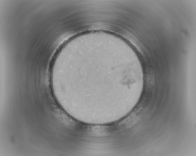 X0000115560832200911201821