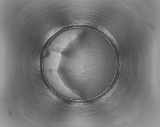 X0000115560834200911201821