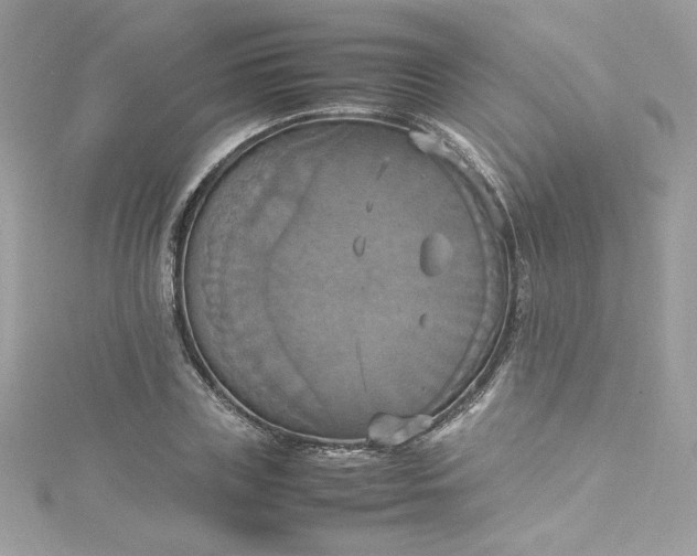 X0000115560835200911201821