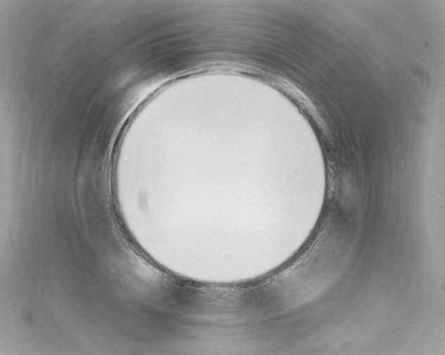 X0000115560836200911201821