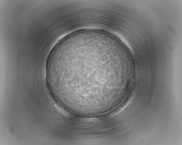 X0000115560837200911201821