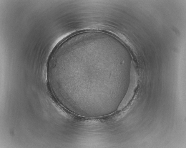 X0000115560838200911201821