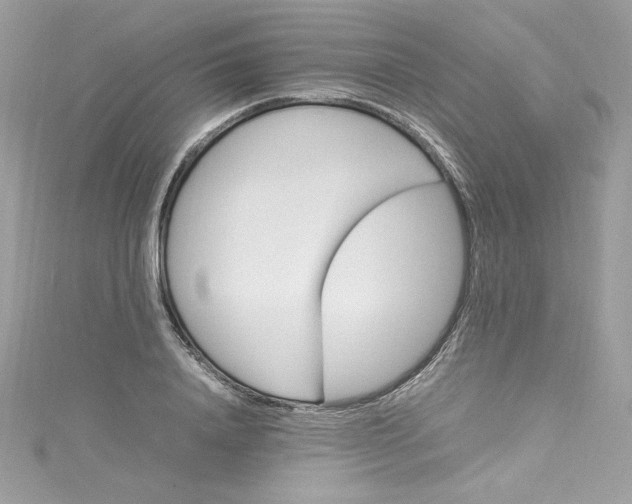 X0000115560840200911201821