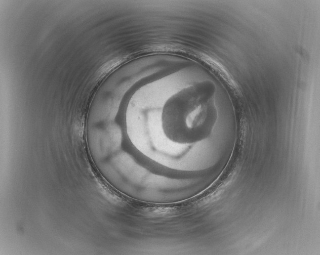 X0000115560841200911201821