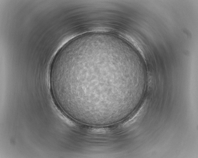 X0000115560843200911201821