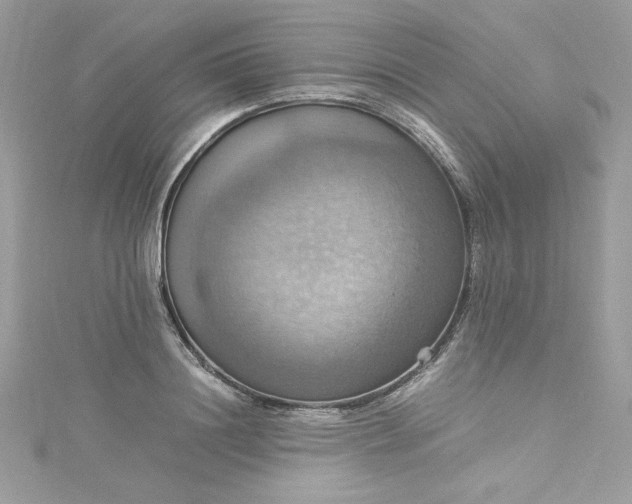 X0000115560844200911201821