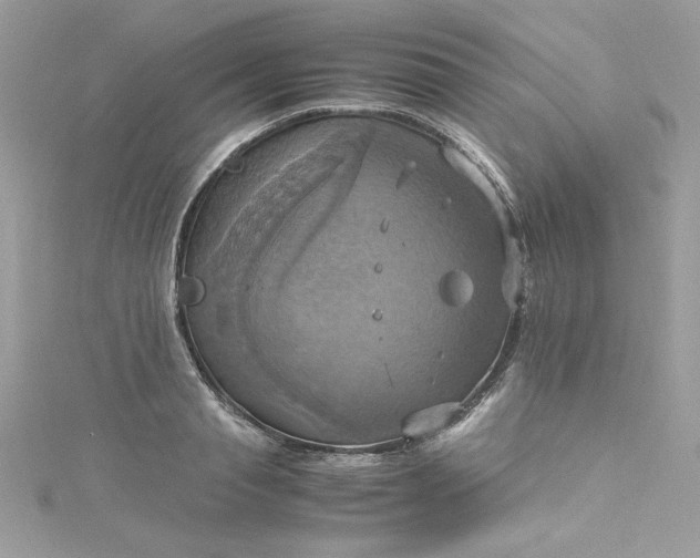 X0000115560845200911201821