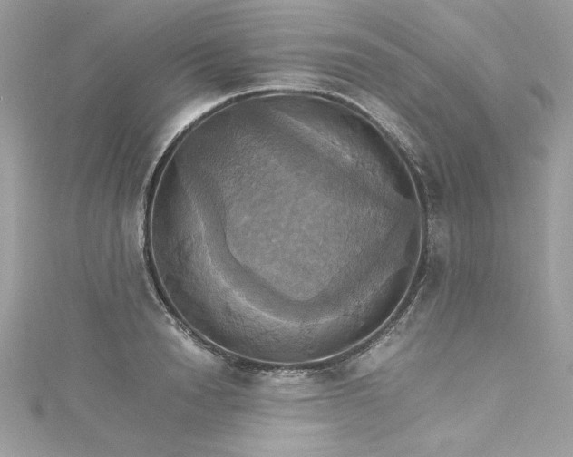 X0000115560846200911201821