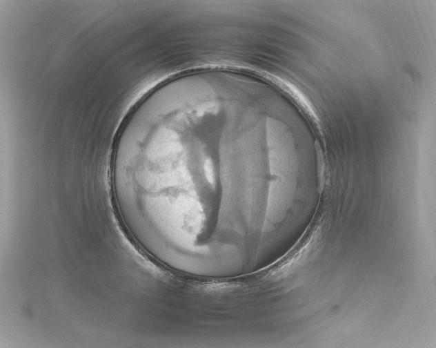 X0000115560847200911201821