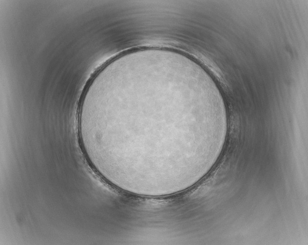 X0000115560848200911201821