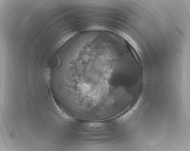 X0000115560849200911201821