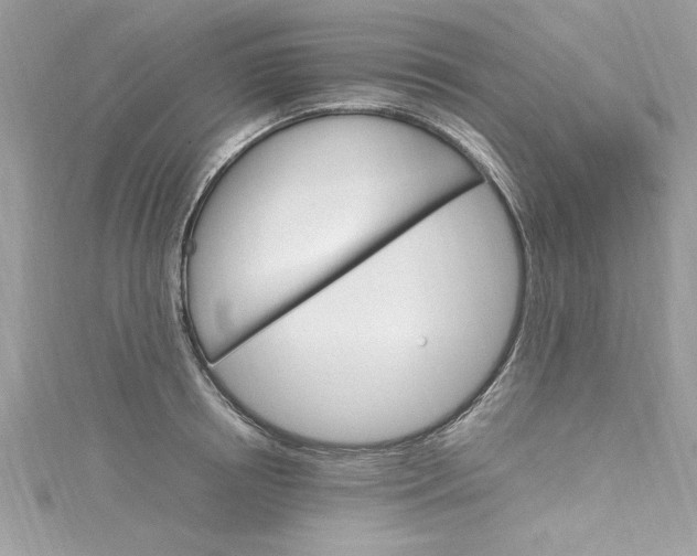 X0000115560850200911201821