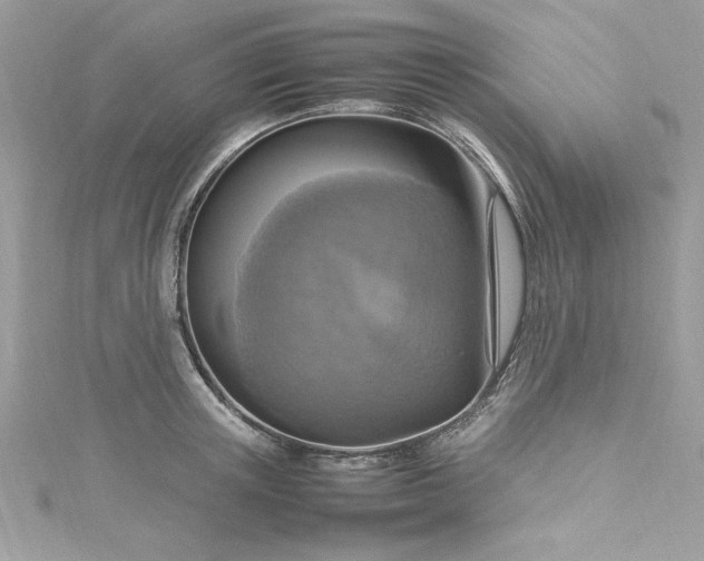 X0000115560851200911201821