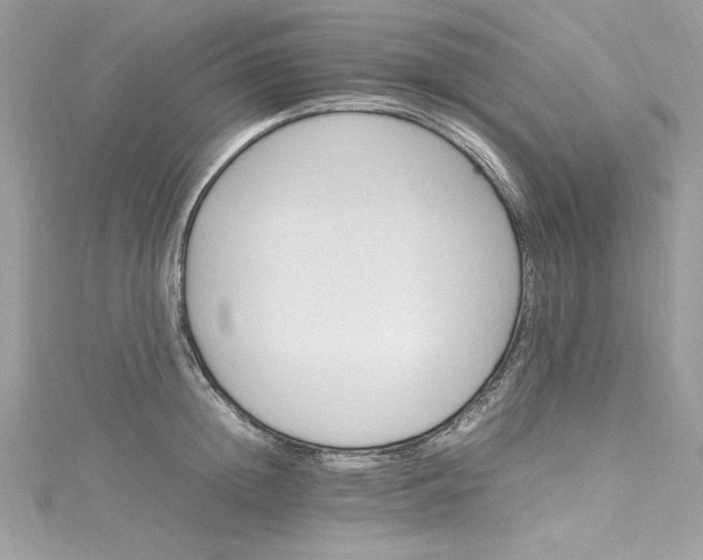 X0000115560852200911201821