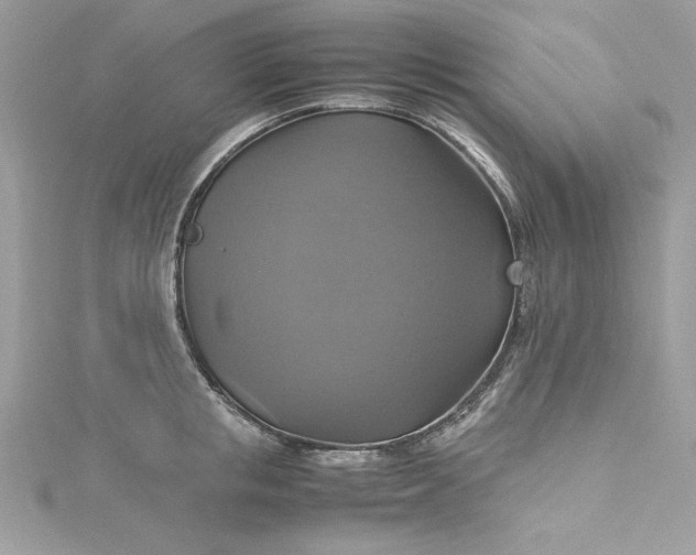 X0000115560853200911201821