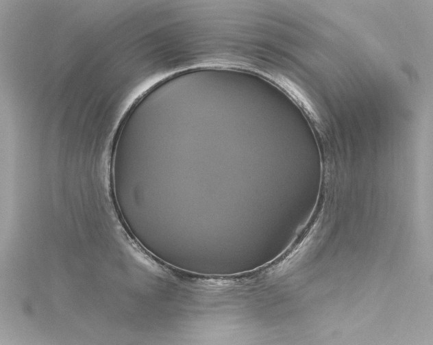 X0000115560854200911201821