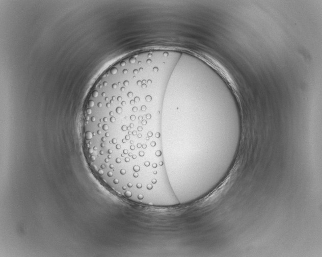 X0000115560855200911201821