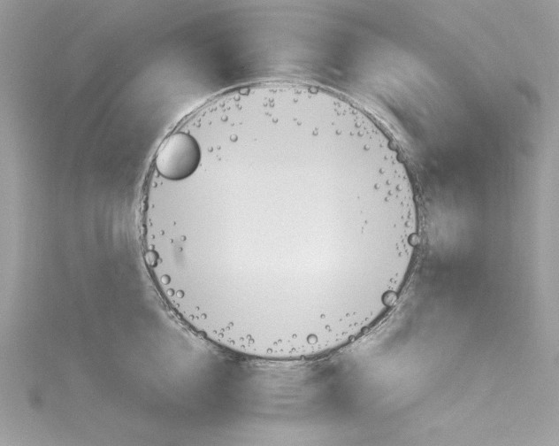 X0000115560856200911201821